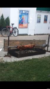 csopen 1899742414 1503679875